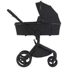 Сărucior pentru copii Anex FL-05 Carucior 2in1 Flo Lungo
