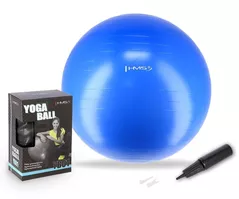 Мяч HMS 9478 Minge gimnastica d=55cm cu pompa Blue YB01 (17-42-155)