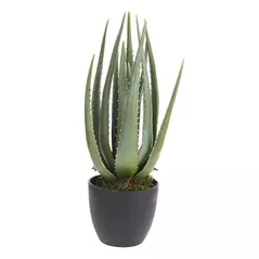Искусственное растение Promstore 55244 Aloe, 45cm, in ghiveci