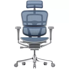 Офисное кресло ART Ergohuman Elite 2 Cobalt T-168-B4 EHE2-AG-HAM-5D-L