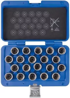 Set de tubulare, bite, duze King Tony 9BW0220 головки для секреток BMW, 20 предметов