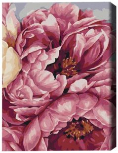 Tablou pe numere BrushMe BS40543 40x50cm (în cutie) Inflorirea bujorilor