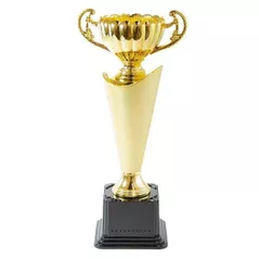 Кубок наградной miscellaneous 8084 0149C h-30 cm