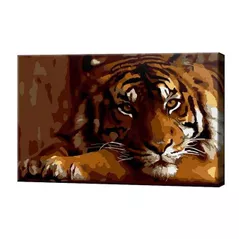 Tablou pe numere Art Gallery CX4462 20x30cm Tigru serios