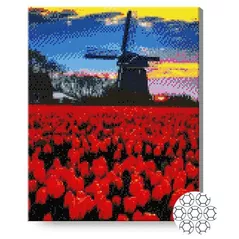 Картина по номерам Art Gallery GA87317 Mozaic cu diamante 40x50cm Camp de lalele langa moara