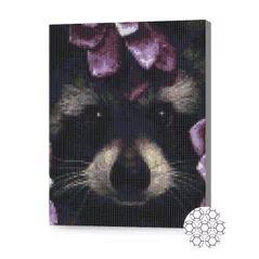 Картина по номерам Art Gallery XQB74642 Mozaic cu diamante 30x40cm Raton