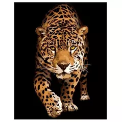Картина по номерам Strateg R 8 /28 (DY257)(41872) Оntвlnirea cu leopardul, 40x50 cm
