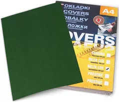 Бумага офисная Argo AR407051 Coperta carton Delta A4, 250g/m2, 100 foi, verde