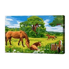 Картина по номерам Art Gallery CX3619 20x30cm Cai pe camp