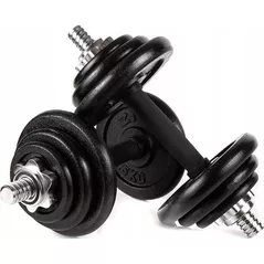 Гантель Zipro Iron Dumbbell Set 2x10kg