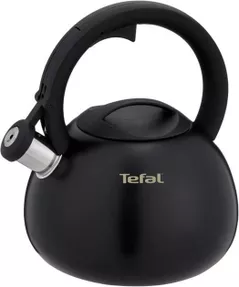 Чайник Tefal N4180410 Duetto+ 2,5l