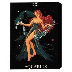 Картина по номерам BrushMe BSB0043FC (fără cutie) Vărsător