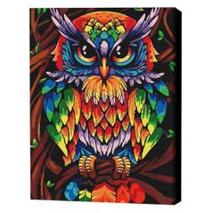 Tablou pe numere BrushMe BS52241FC (fără cutie) Bufniță înțeleaptă în culori de curcubeu