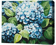 Tablou pe numere BrushMe RMG0021FC 30x40сm (fără cutie) Nor de hortensii
