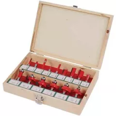 Набор головок, бит, насадок Raider 158304 набор из 15 профилированных фрез Router