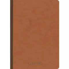 Блокнот Brunnen Carnet a5 maro FACT! Plus lineatura punctata 96 de foi