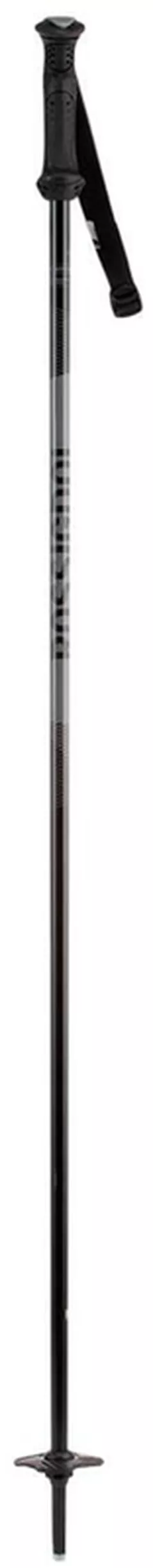 Лыжные палки Rossignol Tactic Jr Grey 095 (RDI6030)