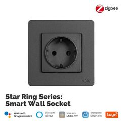 Розетка электрическая Moes ZK-SR-EU-GY-MS