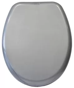 Сиденье для унитаза Bisk 05867 IRIS metalic