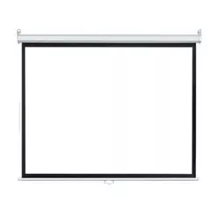 Экран для проекторов miscellaneous Manual Projection Screen CY-MS 100"(4:3), 203x152cm, Matte White