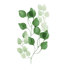 Картина по номерам Richi (04960) 40x50