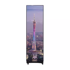 Сценическое оборудование и освещение miscellaneous Ecran LED P2 Indoor 640x1920mm Full HD