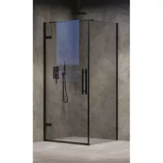 Перегородка для душевой кабины Ravak Panel Fix Cool! 90x195 Black transparent COPS-90 (X9VV70300Z1)