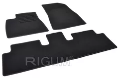 Коврик для автомобиля Rigum Tesla Model 3 2024- -/