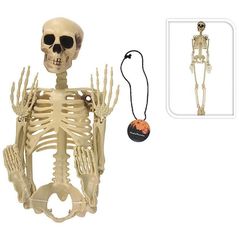 Декор Promstore 53768 Suvenir Halloween Schelet, suspendabil 22x18x90cm