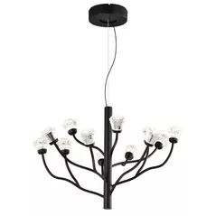 Corp de iluminat interior Divi Light P0550-12A, Lustră suspendata