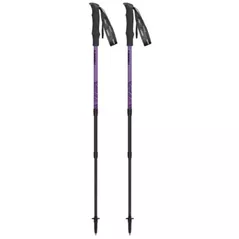 Bețe pentru trekking Masters HIKER Compact Lite 01S1125