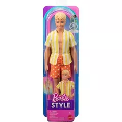 Кукла Barbie JJN66 Ken Fashionistas (seria 1)