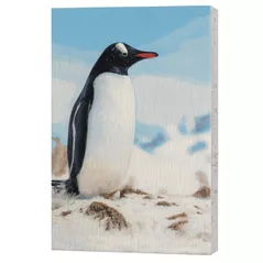 Картина по номерам BrushMe BS54260 40x50cm Eco, Principalul vecin al cercetatorilor polari