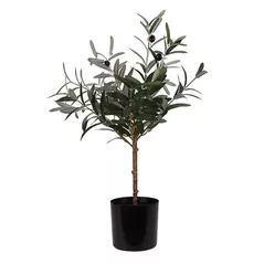 Plantă artificială Promstore 55249 Maslin 66cm, in ghiveci