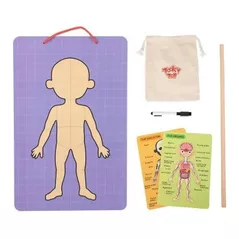 Игрушка Tooky Toy 72301 corpul uman din lemn cu magnet TH842