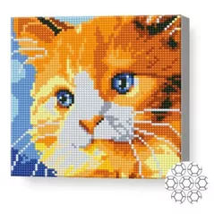 Картина по номерам Art Gallery BJ581 Mozaic cu diamante 20x20cm Motanas roscat