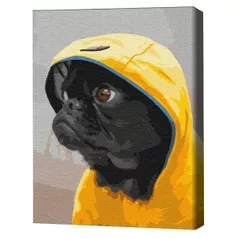 Tablou pe numere BrushMe RBS52614FC 30x40cm (fără cutie) Pug în capotă