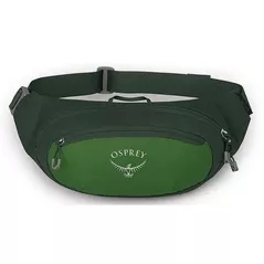 Geantă de talie Osprey Daylite Waist green belt/green canopy hip (843820184372)