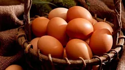 Moldovenii au consumat peste 600 de milioane de ouă într-un singur an