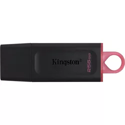 купить Флеш память USB Kingston DTX/256GB в Кишинёве 