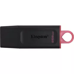 cumpără USB flash memorie Kingston DTX/256GB în Chișinău 