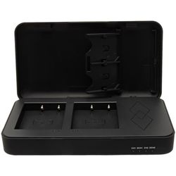 купить Зарядное устройство для фото-видео Patona 4158, Retro Dual Charging Case USB-C for Fuji NP-W126 в Кишинёве 