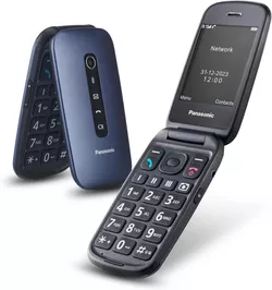 купить Телефон мобильный Panasonic KX-TU550EXC в Кишинёве 