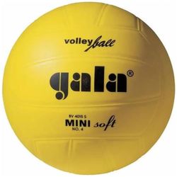 купить Мяч misc 7916 Minge volei Gala 4015SC Mini N4 Soft в Кишинёве 