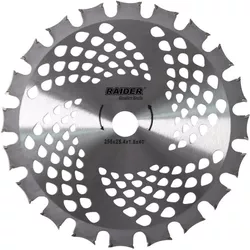 купить Леска для триммера Raider 110343 диск триммера Т40 Ø255х25,4мм в Кишинёве 