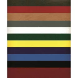 купить Бумага офисная Argo AR432031 Carton Delta A3, 250g/m2, 100 foi, albastra в Кишинёве 