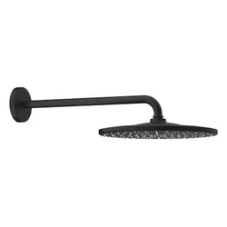 купить Верхний душ Grohe Rainshower 310 Mono Phantom Black 22121 KFO в Кишинёве 