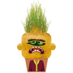 купить Набор для творчества Hape 848103 Experiment științific Grădinarul Monstru Capricios cu iarbă – Mary в Кишинёве 