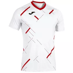 купить Одежда для спорта Joma T-Shirt Tiger Iii (XS) 101903.206 в Кишинёве 