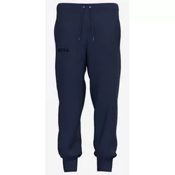 купить Одежда для спорта Joma Street Generation Long Pants Navy (L) 103765.345 в Кишинёве 